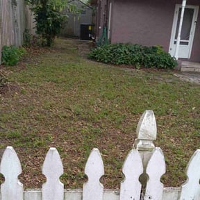 Leaf Removal by T &O Landscape Service LLC reviewed on August 18, 2025
