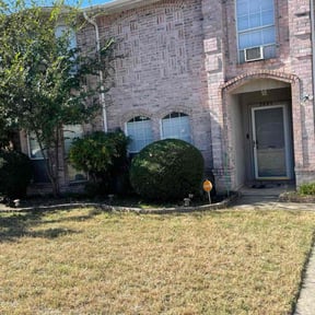 Bush Trimming by Little Landscaping reviewed on November 20, 2025