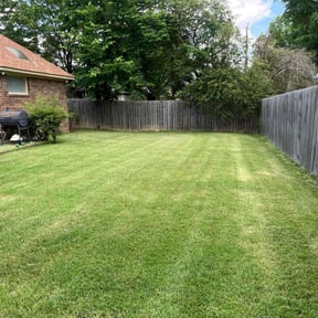 lawn care services by Clean Cuts Plus LLC reviewed on April 23, 2024