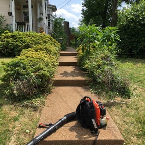 Bush Trimming by Artesian landscapers reviewed on August 21, 2025