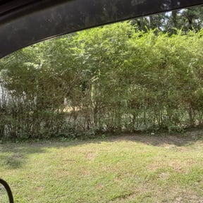 Bush Trimming by Deshun Walker Inc reviewed on August 15, 2025