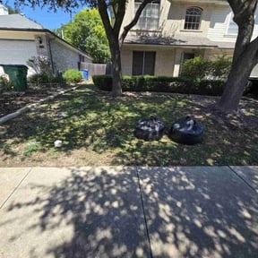 Leaf Removal by Improved lawns reviewed on September 21, 2025