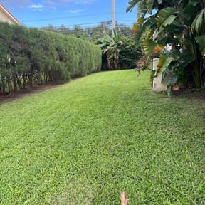 yard maintenance by ShiftChange LLC Lawn Service reviewed on August 20, 2025