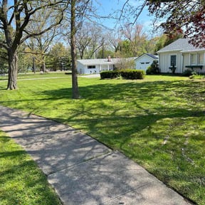 grass cutting by Unknown reviewed on August 18, 2025