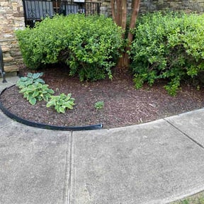 Flower Bed Weeding by Amayas lawn services reviewed on July 10, 2026