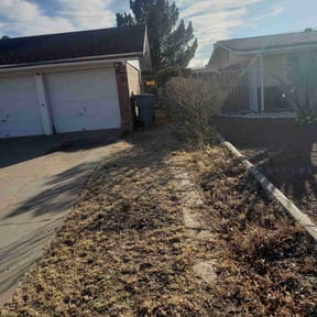 Bush Trimming by Marsha's Lawn Care & Snow Removal Services reviewed on August 18, 2025