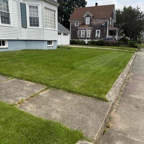 grass maintenance by Tuttle's lawn reviewed on August 18, 2025