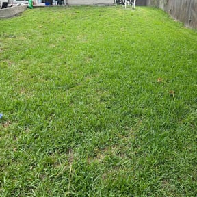 yard care by Otto lawnmower reviewed on November 24, 2025