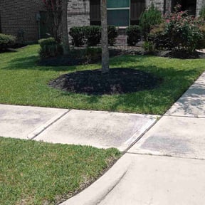 landscaping services by Mulvehill lawn & landscaping reviewed on August 19, 2025