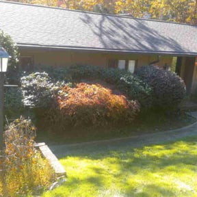 Bush Trimming by First Choice Landscaping of St Augustine reviewed on November 5, 2025