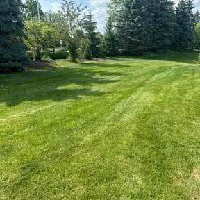 yard maintenance by Mauler Mowing LLC reviewed on December 23, 2025