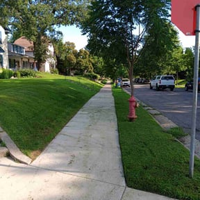 gardening service by Cummings and Cummings Lawn Care reviewed on August 18, 2025