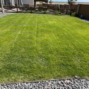 grass maintenance by Big Phan LLC reviewed on July 5, 2025