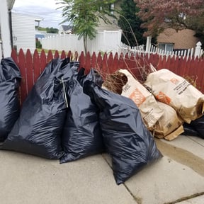 Bush Trimming by Class A Landscaping reviewed on August 19, 2025