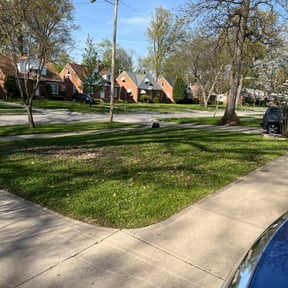 Leaf Removal by Ego reviewed on September 27, 2025