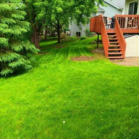 yard maintenance by J&R Cutting it Up reviewed on August 15, 2025