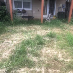 Bush Trimming by E&A Contractors reviewed on August 15, 2025