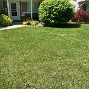yard care by Green Garden Landscapes reviewed on August 19, 2025