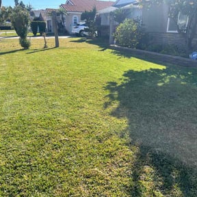 yard maintenance by Ybarra property landscaping service LLc reviewed on August 18, 2025