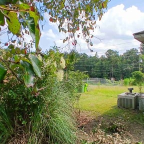 Bush Trimming by Mowing Maxx Lawn Care Services reviewed on October 18, 2025