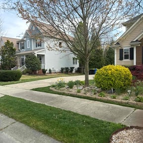 landscaping services by Riteous Lawn Care reviewed on August 18, 2025