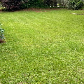 gardening service by FBE SERVICES LLC reviewed on April 8, 2022