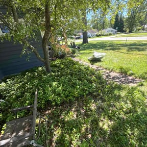 Flower Bed Weeding by Rios Enterprise Lawn Mowing Services LLC reviewed on June 4, 2026
