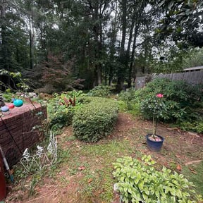Bush Trimming by All Seasons Property Services LLC reviewed on July 5, 2026