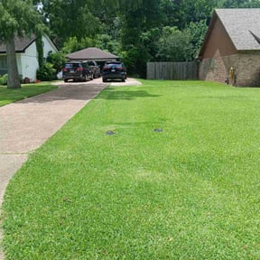 yard maintenance by Three E&#039;s Lawn Care LLC. reviewed on July 27, 2023