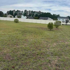 Bush Trimming by Hy-C  efficiency services reviewed on May 13, 2026