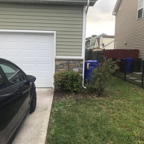 Bush Trimming by Lawn pros. reviewed on August 15, 2025