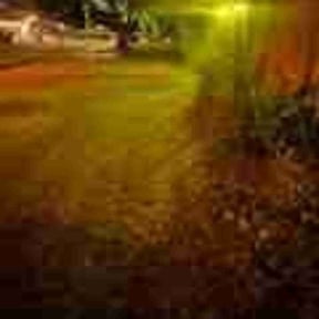 Bush Trimming by Stack Lawn Care and More LLC reviewed on November 24, 2025