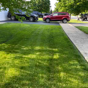 Sodding by  reviewed on September 21, 2025