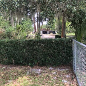 Bush Trimming by LI LawnCare reviewed on April 3, 2025