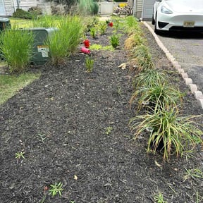 Flower Bed Weeding by Mark Pipes reviewed on November 8, 2025