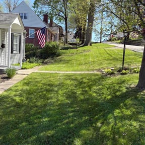 yard maintenance by Robert'sLawnMGMT reviewed on August 17, 2025