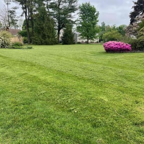 turf care by 3B Landscaping. reviewed on December 25, 2024