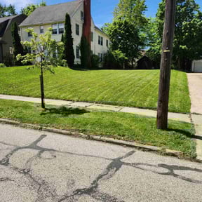 landscape maintenance by SGP Lawn Services reviewed on August 21, 2025