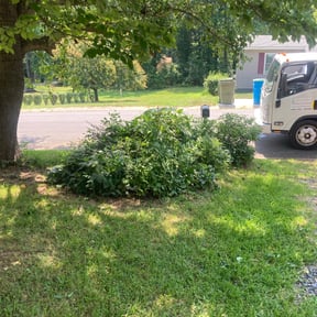 Bush Trimming by Chris’s Lawn Service reviewed on August 19, 2025
