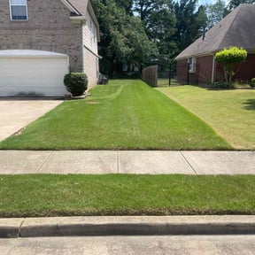 landscaping services by AFL Lawn Care reviewed on August 19, 2025