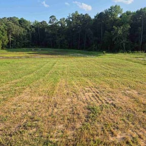 Flower Bed Weeding by ameen landscaping reviewed on August 25, 2026