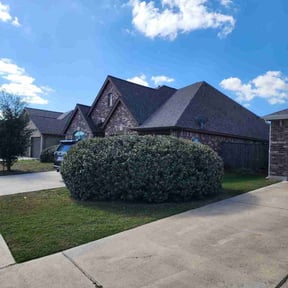 Bush Trimming by TLC LAWN AND LANDSCAPING LLC reviewed on December 4, 2025