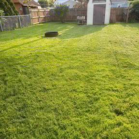 landscaping by Friend's Lawns reviewed on August 21, 2025