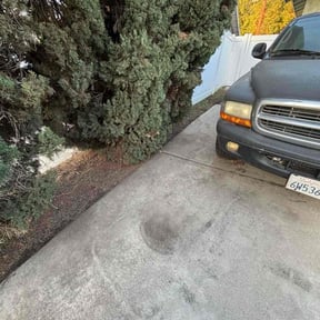 Leaf Removal by Tanisandson@gmail.com reviewed on October 11, 2026