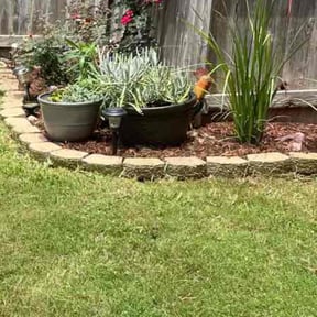 Flower Bed Weeding by Xyz Services reviewed on August 17, 2025