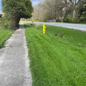turf maintenance by Emerald Green Lawn Service reviewed on November 9, 2017
