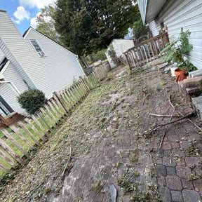 Bush Trimming by Torres Transformations reviewed on October 23, 2025