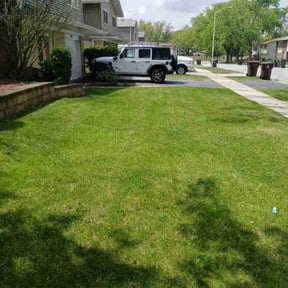 residential landscaping by RHR reviewed on August 16, 2025