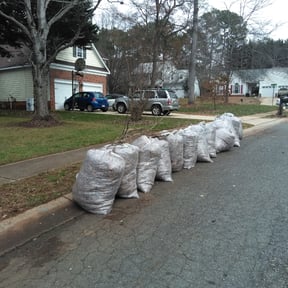 Leaf Removal by Texas Style Junk Removal reviewed on August 21, 2025