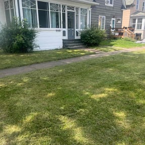 lawn maintenance by HTx Landscaping Services reviewed on December 22, 2021